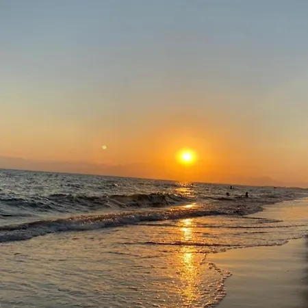 فيلة Assos Suits 2 بيليك