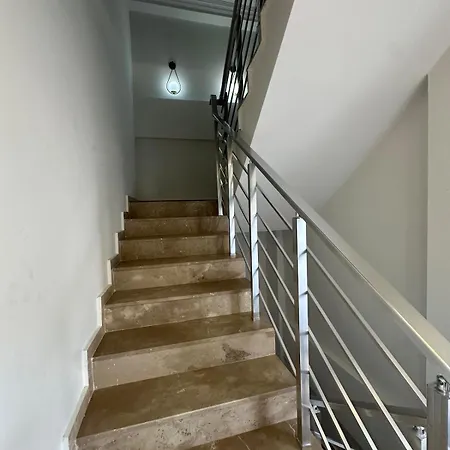 فيلة Assos Suits 2