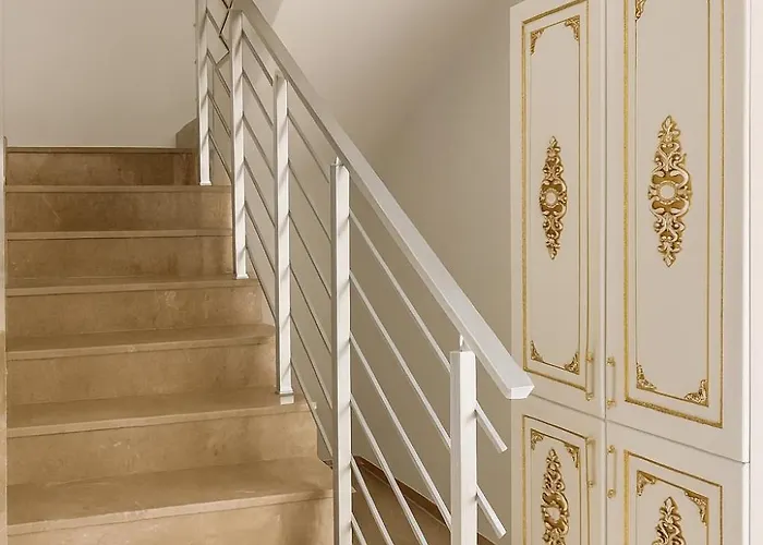 فيلة Assos Suits 2 *