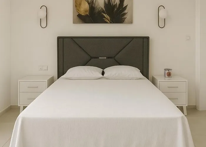 فيلة Assos Suits 2